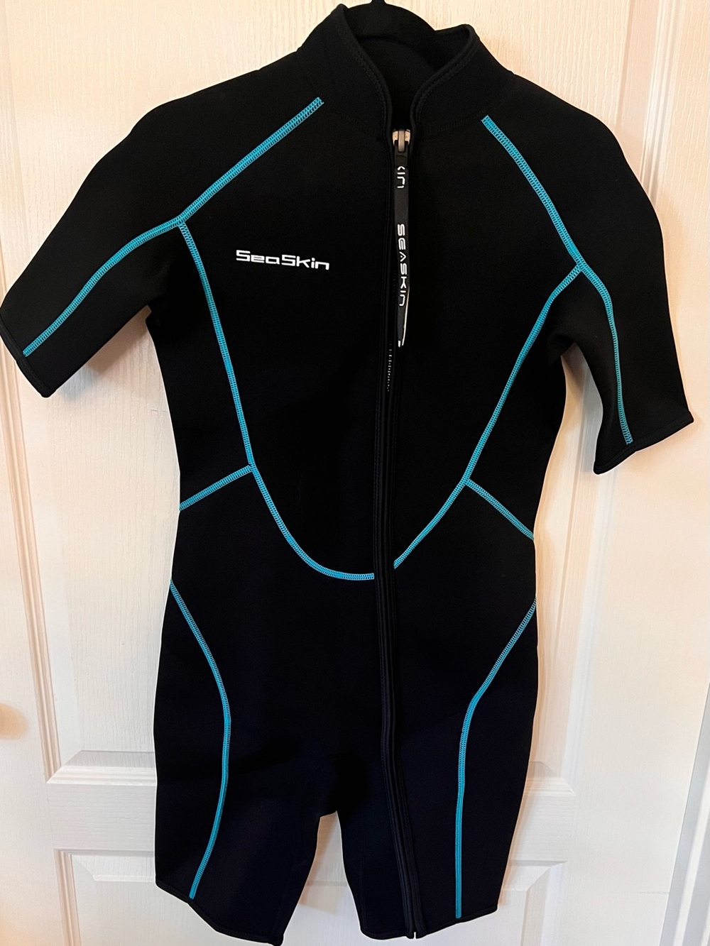 Skin Women's Short-Sleeve Swim Bodysuit in Black with Teal Stitching